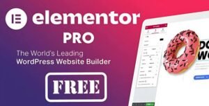 Elementor Pro Plugin for WordPress – (#1 Popular Page Builder Plugin )